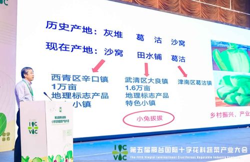 小種子撬動大產業 第五屆邢臺國際十字花科蔬菜產業大會盛大啟帷，展現科技興農新圖景